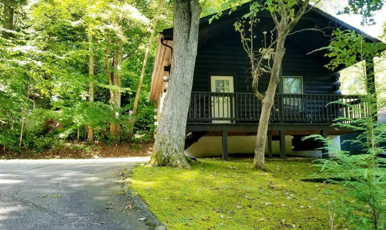 Tanglewood Motel And Log Cabins 매기 벨리 외부 사진